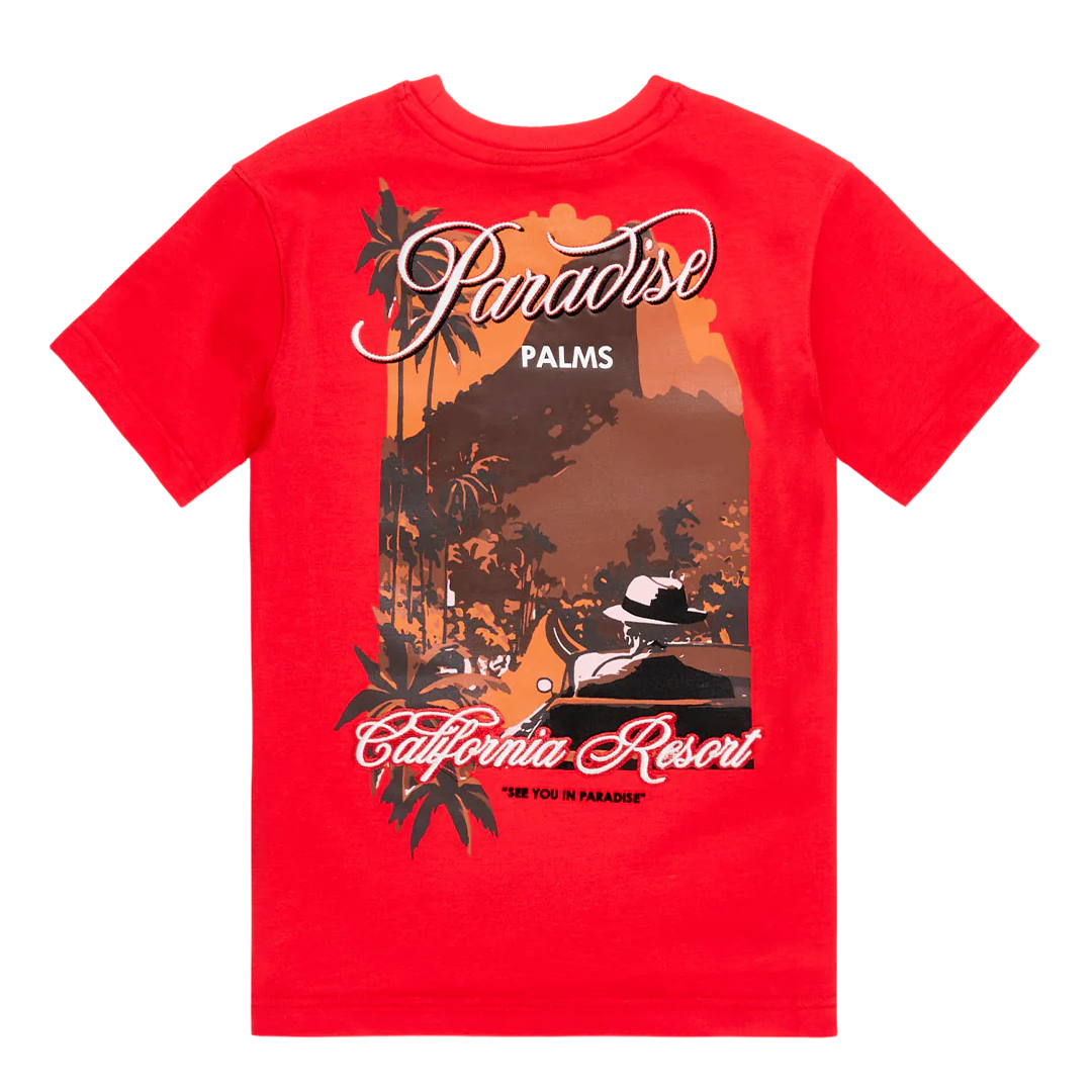 Paradise Palms Full Set Chicago - Image 4