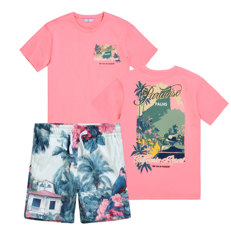 Paradise Palms Full Set Palm Beach